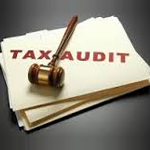 Tax-Audit